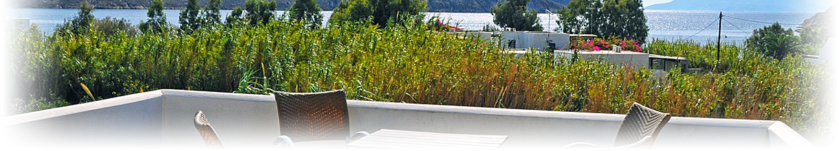 Coralli Sea-Side Resort Camping Bungalows Beach-Bar Restaurant Swimming-Pool Serifos